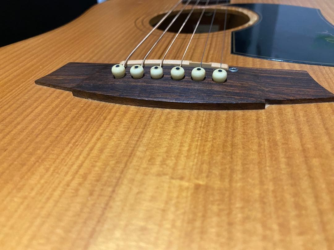 アコースティックギター　cole clark