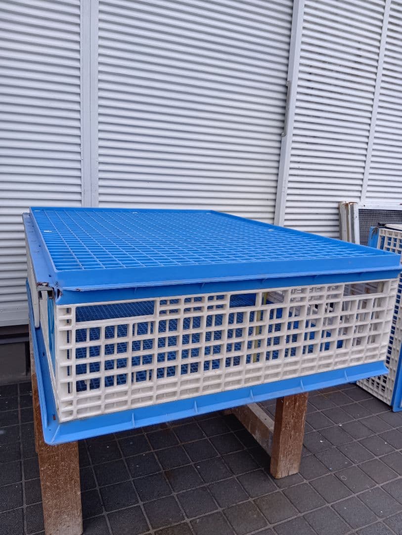 放鳩籠　コンテナ　レース鳩　移送　搬送　輸送　コンテナー　キャディー　愛鳩の友