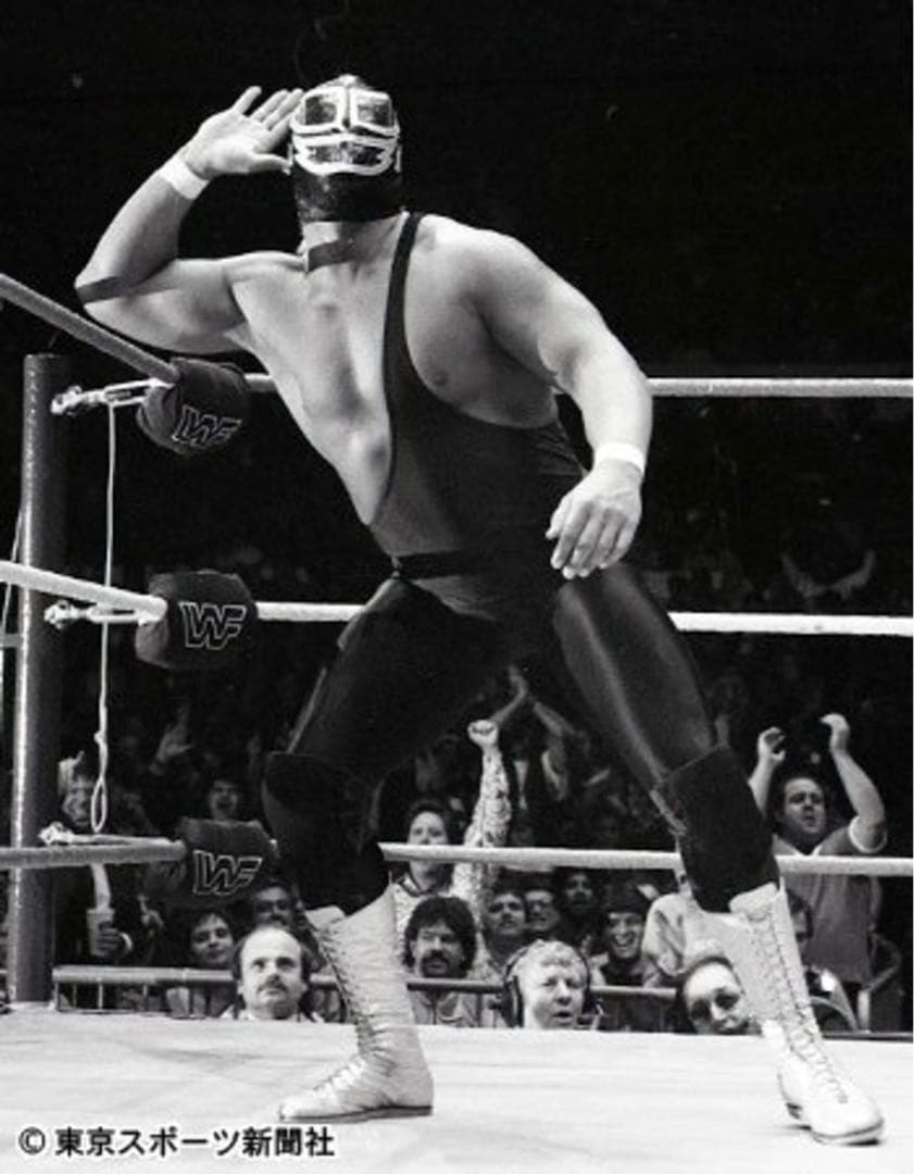 激レア！WWE クラシックスーパースターズ ハルク・ホーガン フィギュア