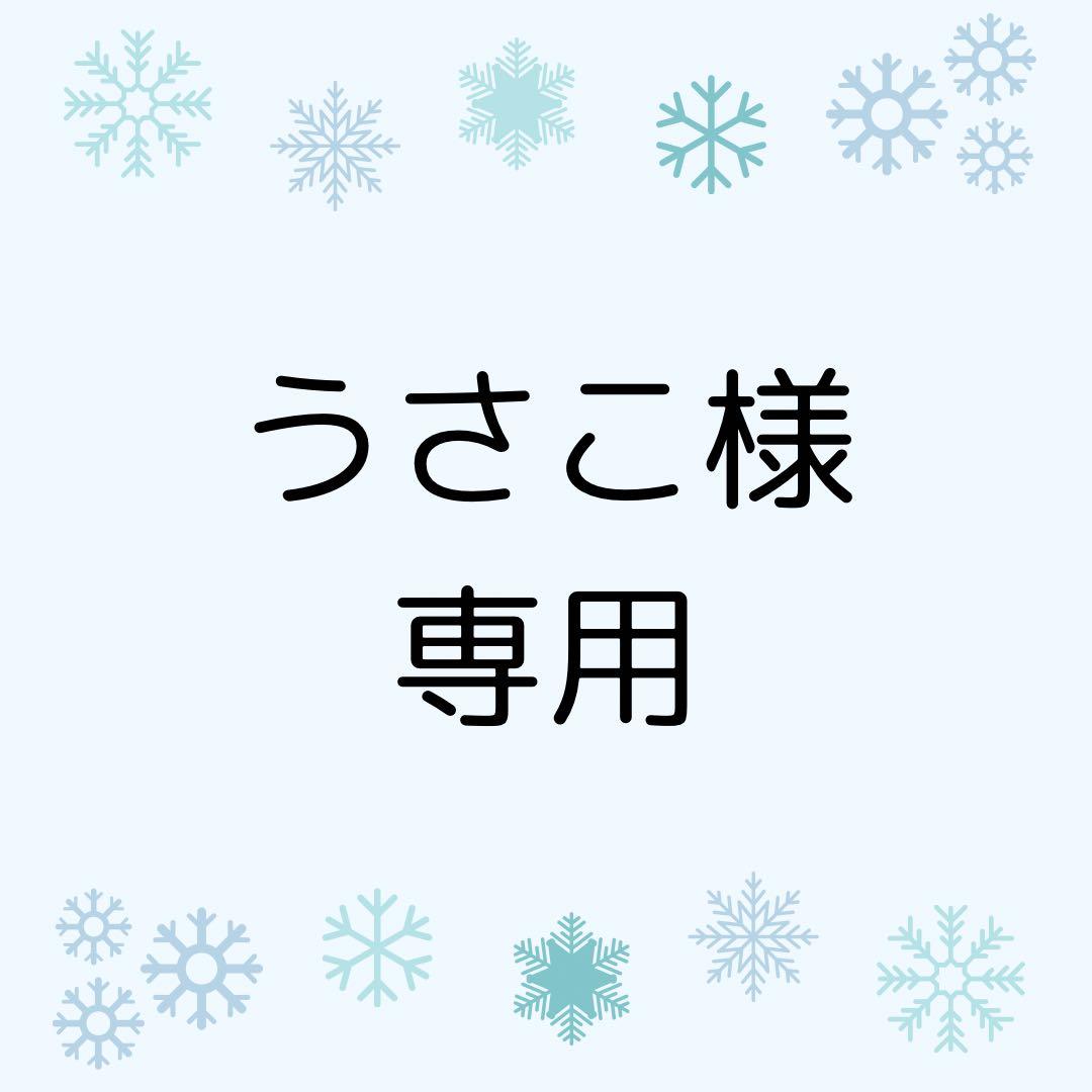 市田柿【干し柿】化粧箱6箱
