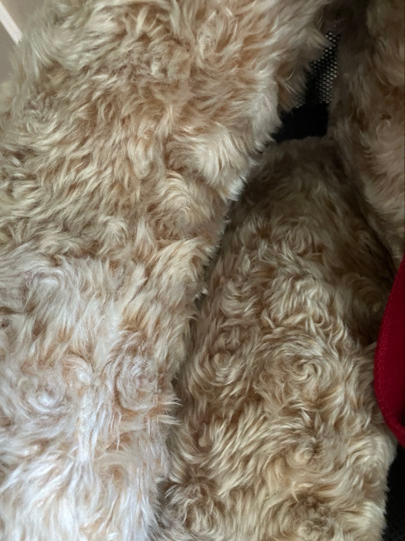 ★【Harrods】ハロッズ★1999年限定！特大＊テディベア　ぬいぐるみ★