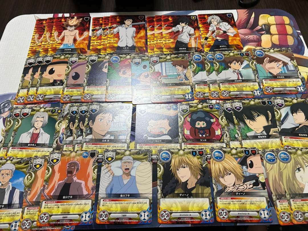 家庭教師ヒットマン REBORN! リボーン CCG ブリアンテ ケース付き