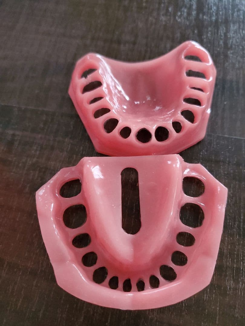 【ニッシン】 歯科模型 頬粘膜 歯科衛生士 NISSIN デンタルモデル