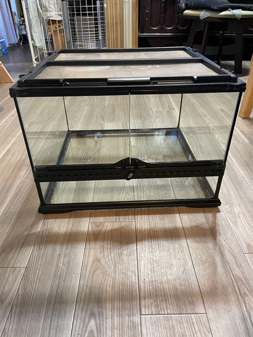 ヒ*シ様 GEX　エキゾテラ　グラステラリウム4530