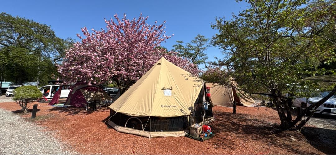 キングキャンプ　KingCamp KHAN X 500 ベルテントおまけ付1/2