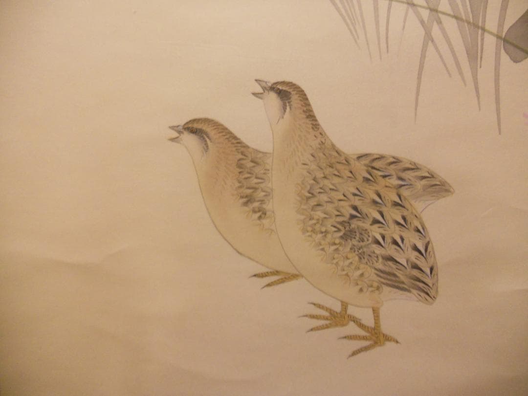 掛け軸 高 『 秋草 』 絹本 希少 軸装 茶道具 掛軸 美品 です。