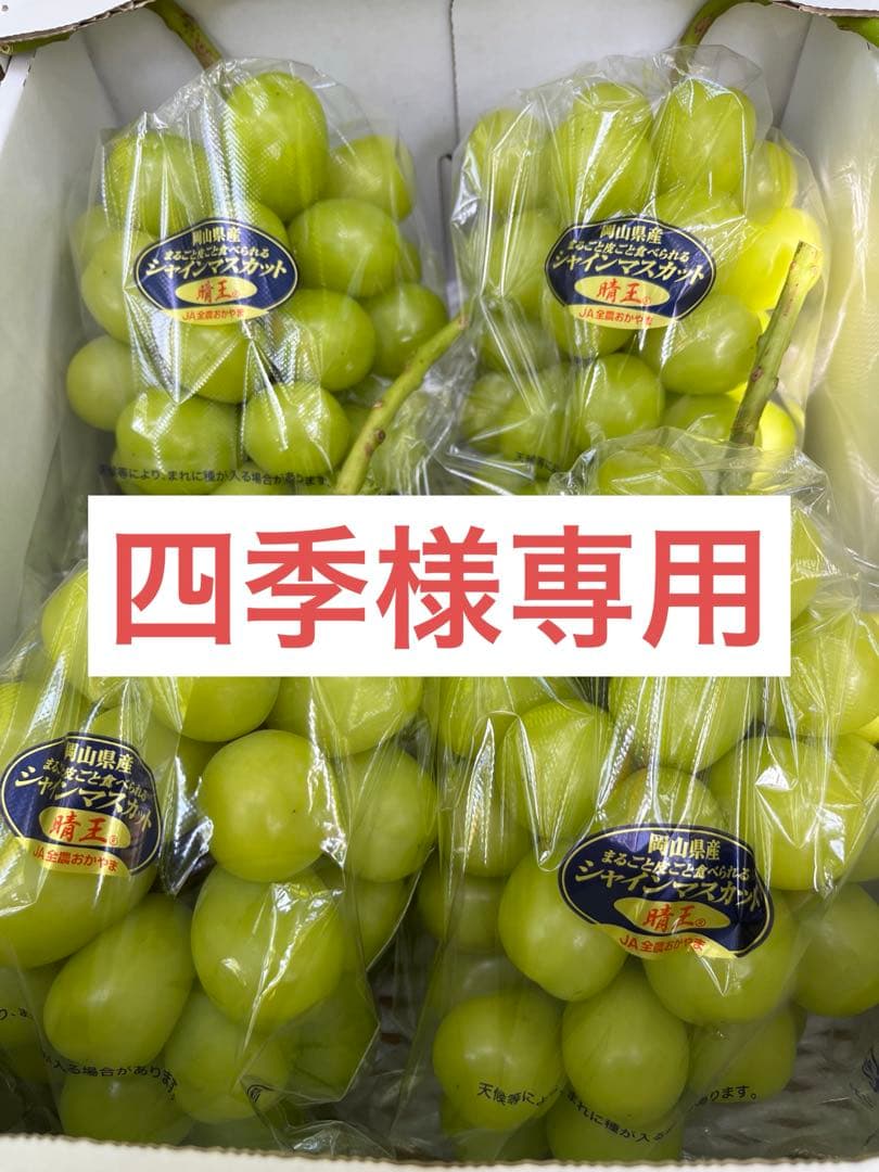 9/18発送※ 四季※