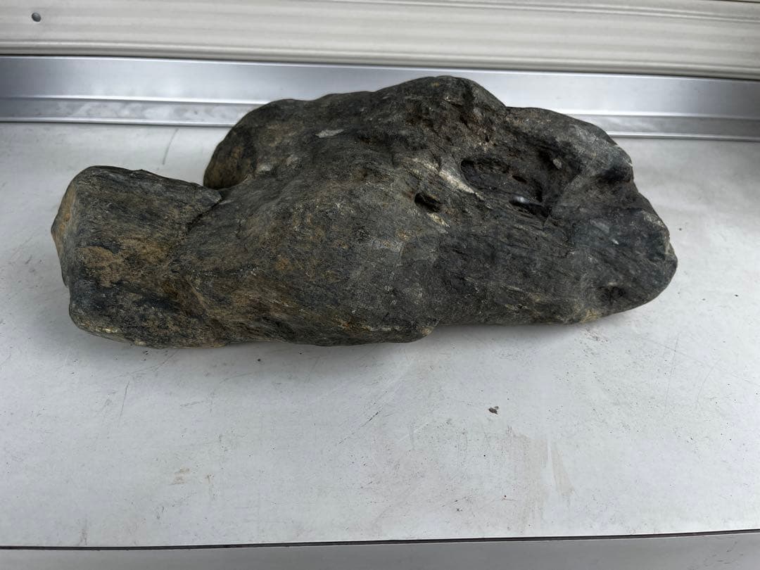 佐治石〈25〉【Taiyoメダカ】