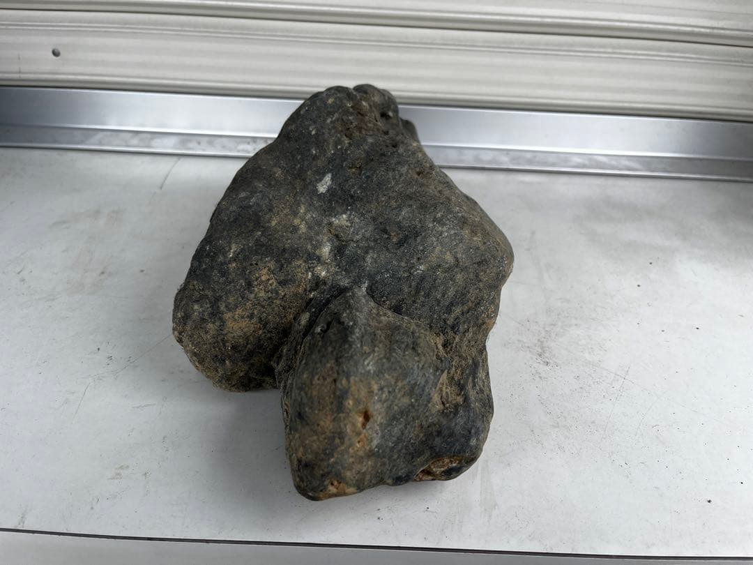 佐治石〈25〉【Taiyoメダカ】