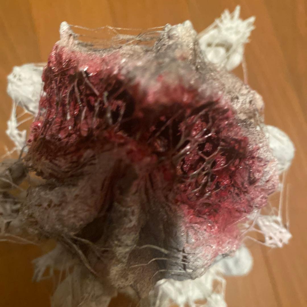 ゴジラ　シンゴジラ　ラストシーンのフィギュア