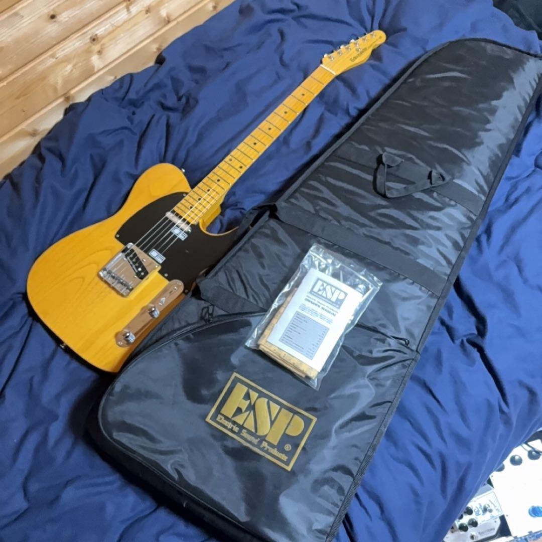 Edwards E-TE-100M/LT テレキャスター ラッカートップ