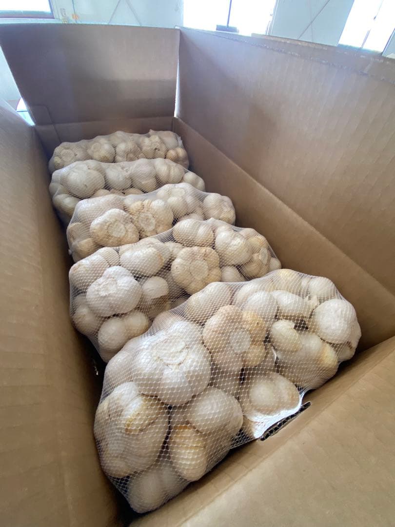新物　青森県にんにく5キロ M 激安
