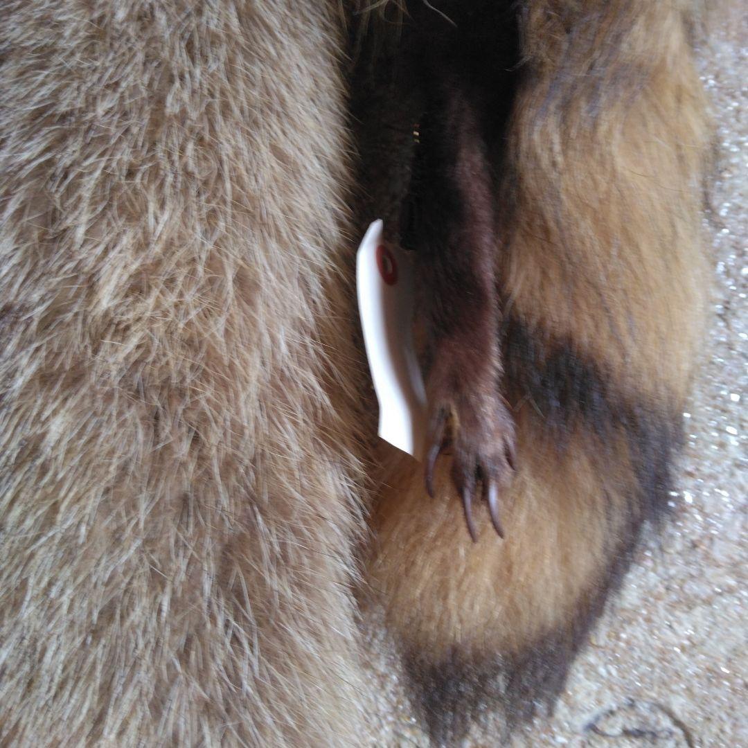 タヌキ剥製　ラクーンドック 毛皮　 小型　マフラー　リアルファー