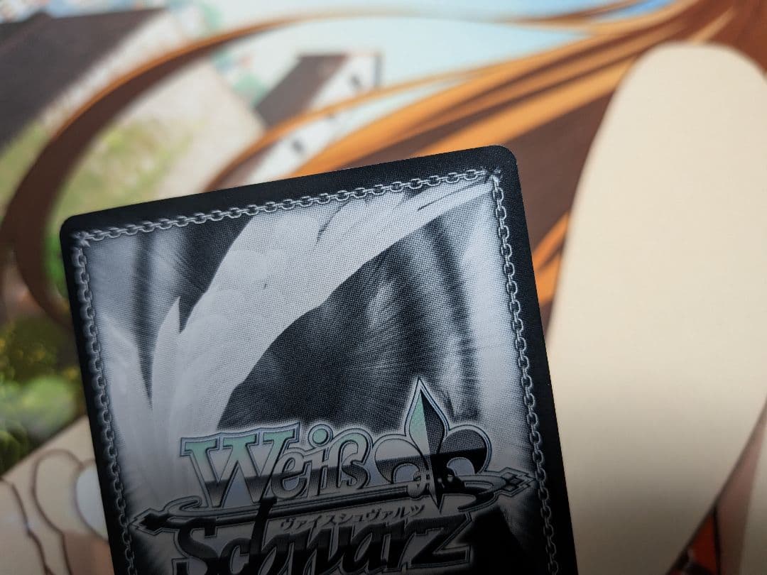 ヴァイス　守るべき大切なもの　なのは　SSP　サイン