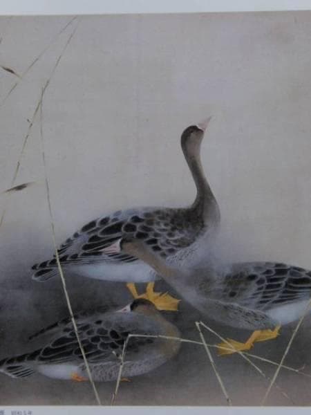 奥村　土牛、雁、希少な画集より、新品高級額装付、版上サイン入り、状態良好