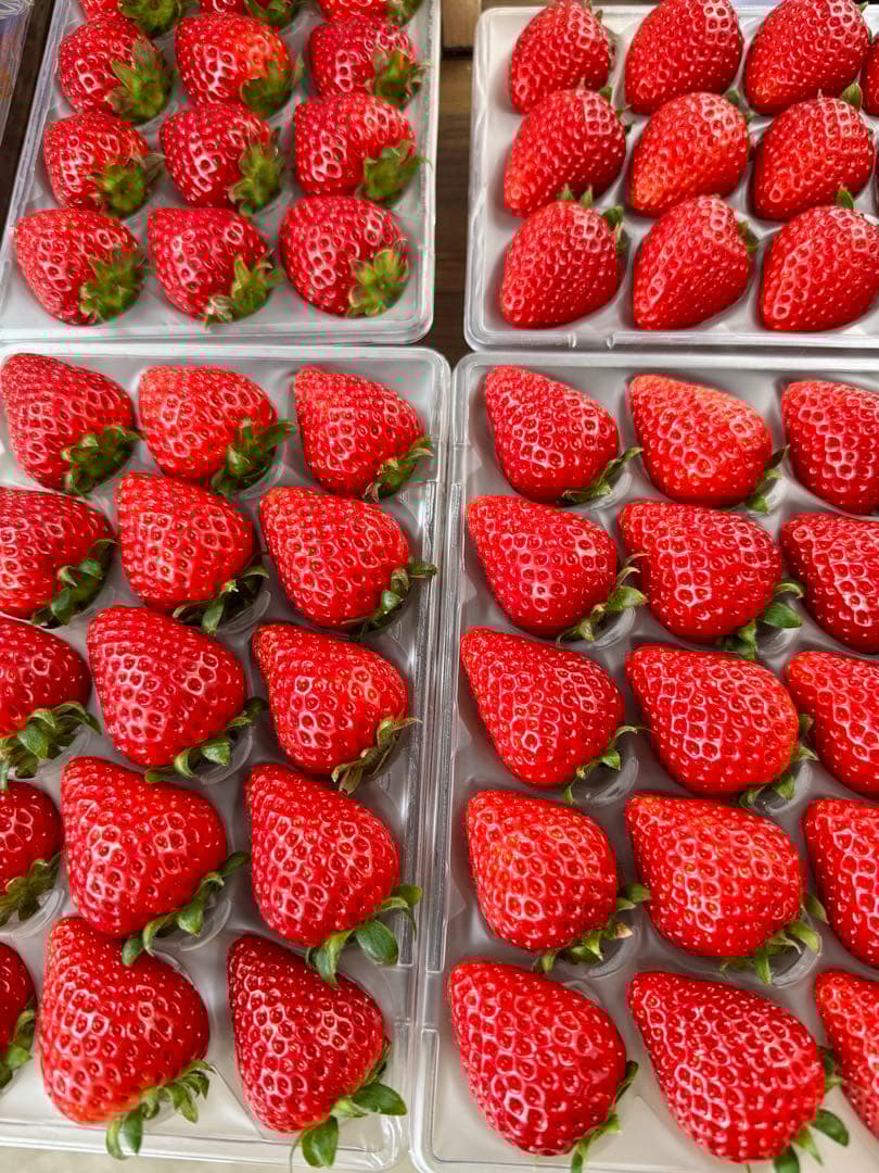 埼玉県プレミアムいちご あまりん 2パック入り 2箱