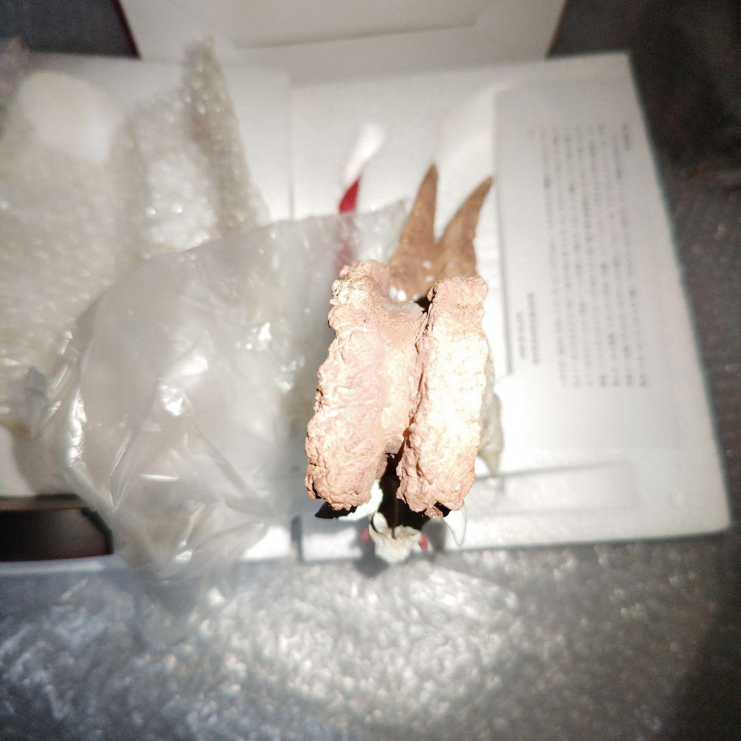 アルバトロスジャパン　帰ってきたウルトラマン オクスター　フィギュア