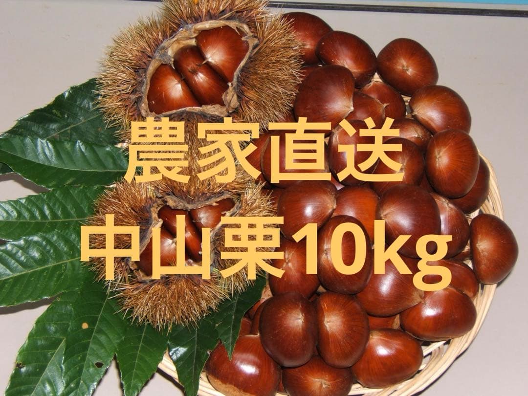 幻の栗⭐︎中山栗2L~4L混合10kgクール便（匿名不可）農家直送2025-012