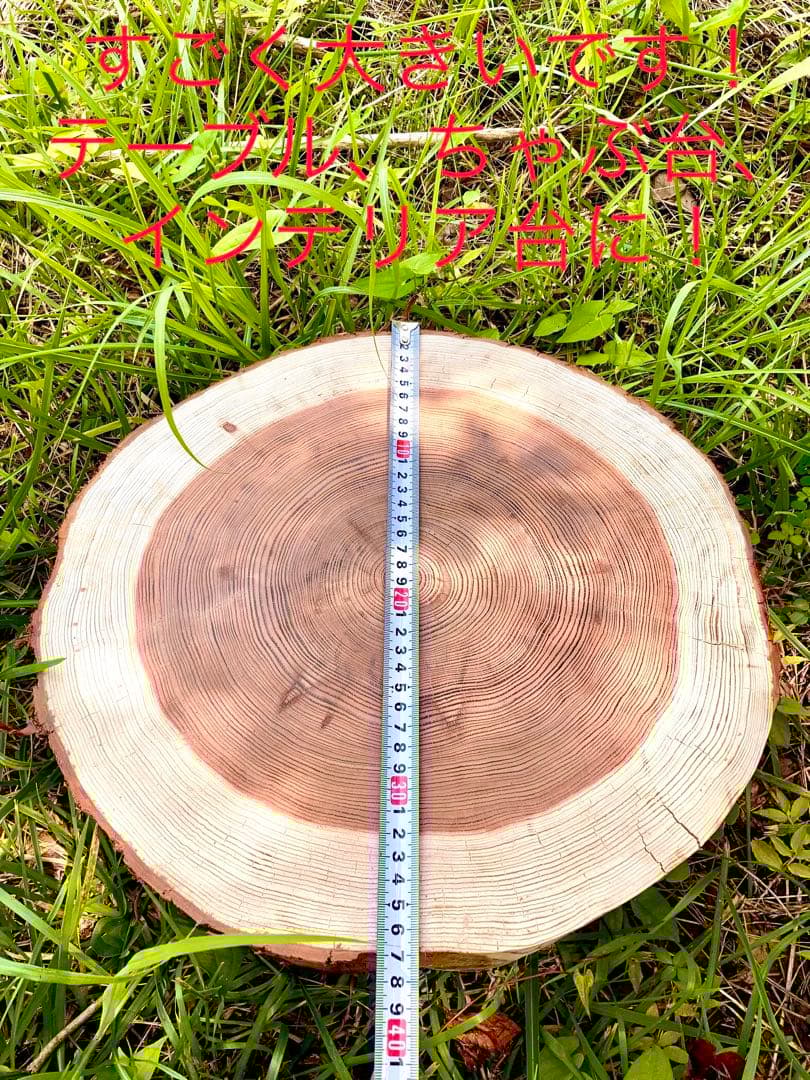 完売　オーダー受付中！天然杉/超特大サイズ！【森を感じられる切り株テーブルなど】