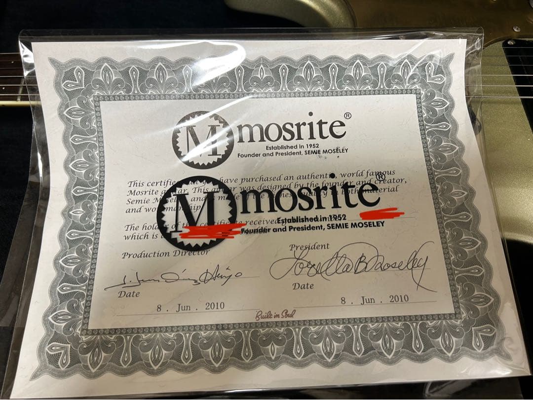 Mosrite Semie Moseley 浮雲　長岡亮介