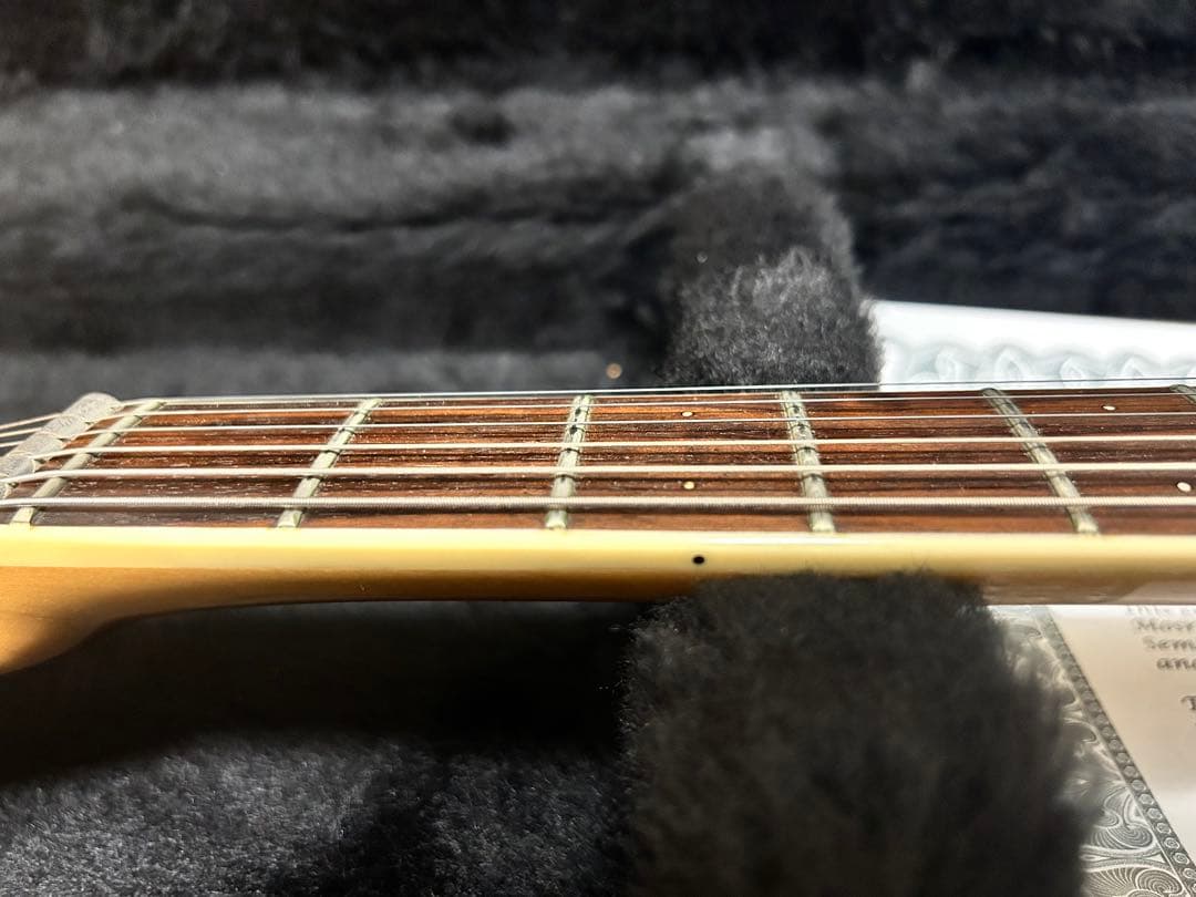 Mosrite Semie Moseley 浮雲　長岡亮介