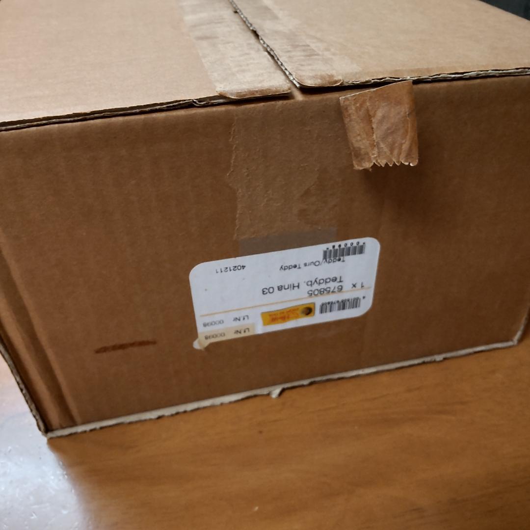 シュタイフ　雛　hina　Steiff　テディベア　2003 　ひな