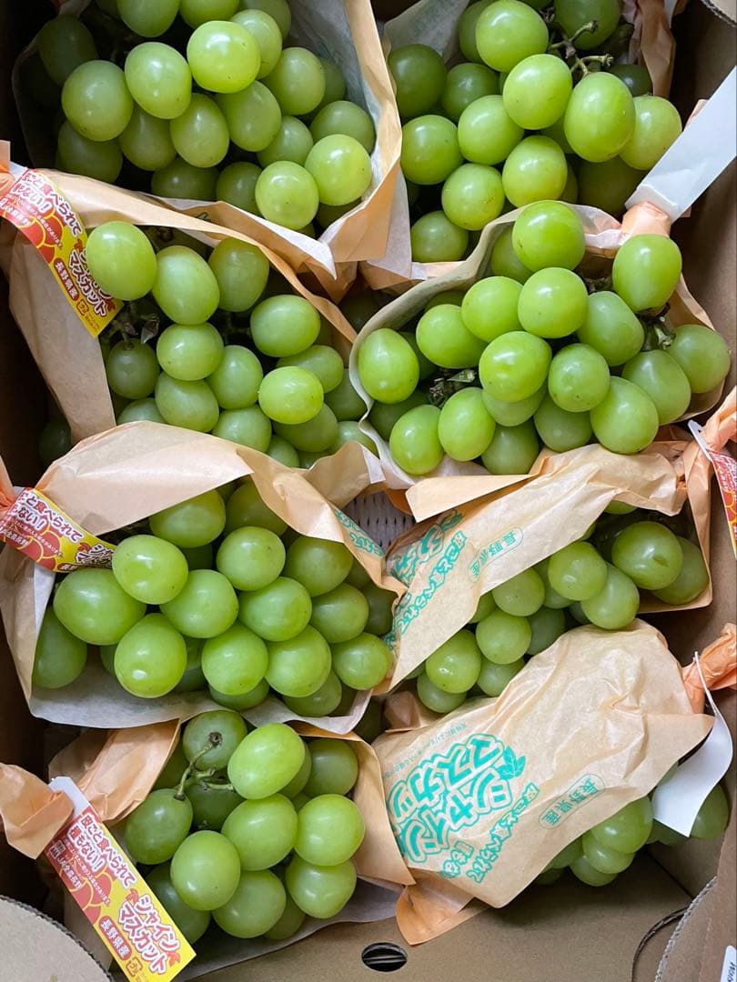 数量限定‼️山梨県/長野県 シャインマスカット　葡萄　ぶとう　ブトウ　箱込み5kg