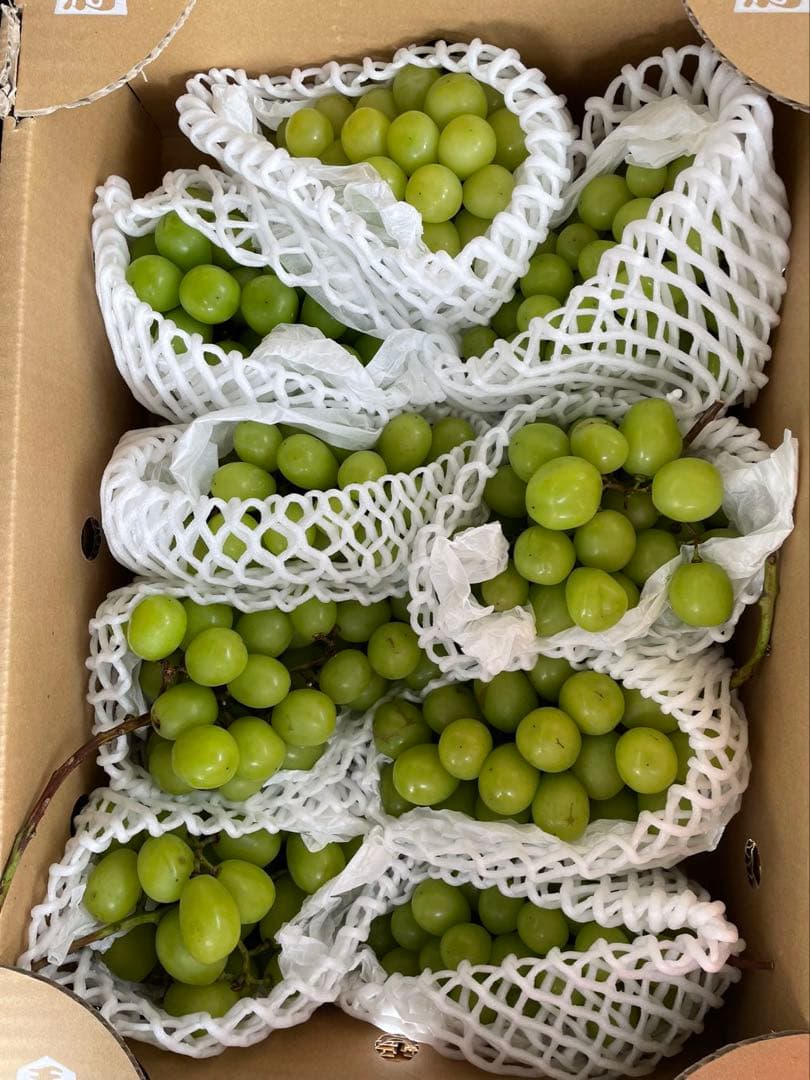数量限定‼️山梨県/長野県 シャインマスカット　葡萄　ぶとう　ブトウ　箱込み5kg