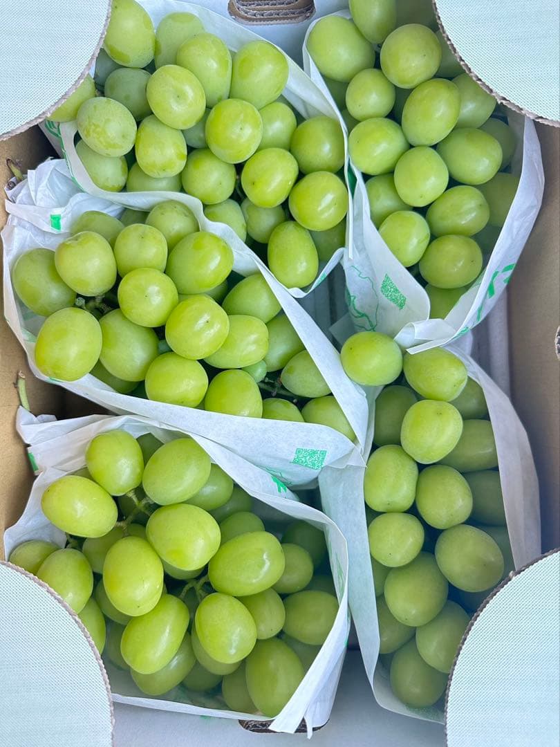 数量限定‼️山梨県/長野県 シャインマスカット　葡萄　ぶとう　ブトウ　箱込み5kg