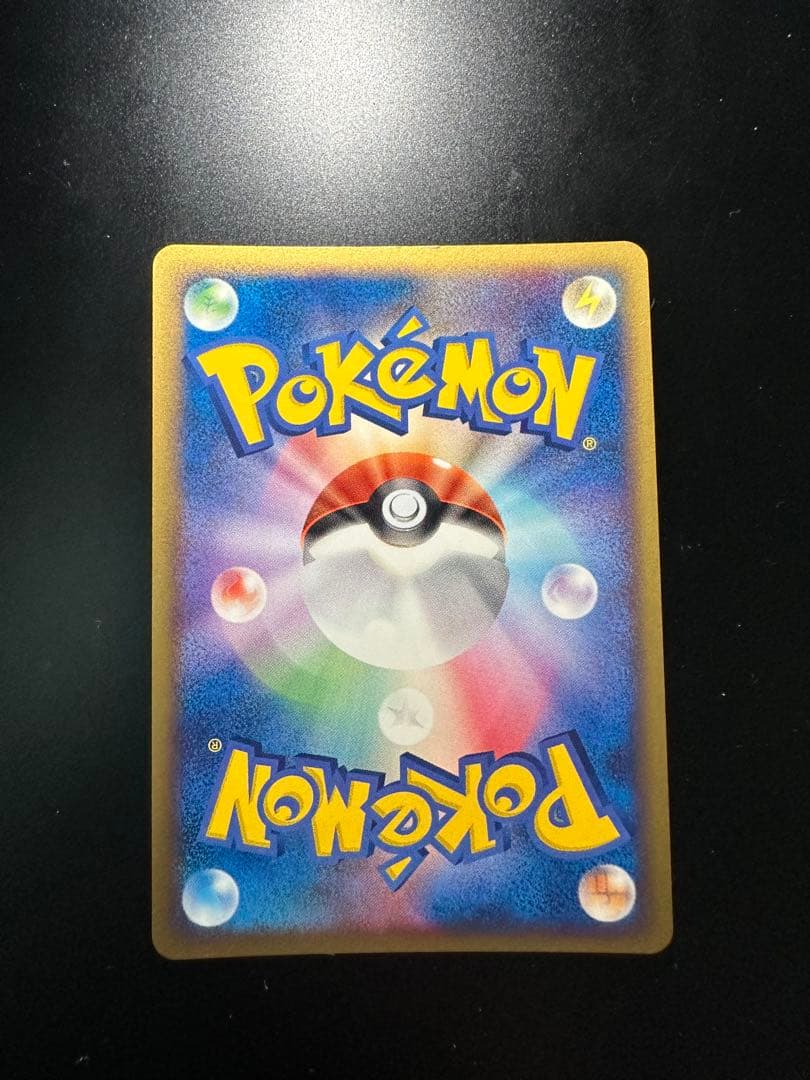 ポケパークのピカチュウ　プレミアムファイル