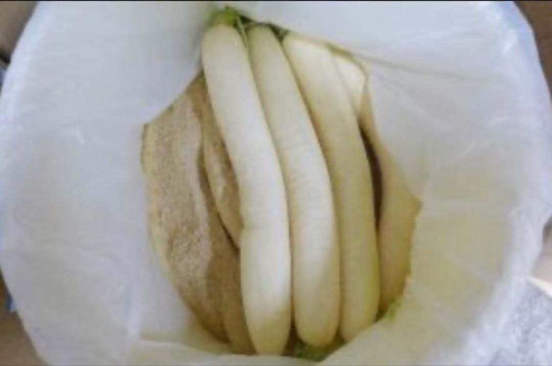 金沢発送　干し大根5kg×2束（32本〜38本程度）※手作り沢庵に。