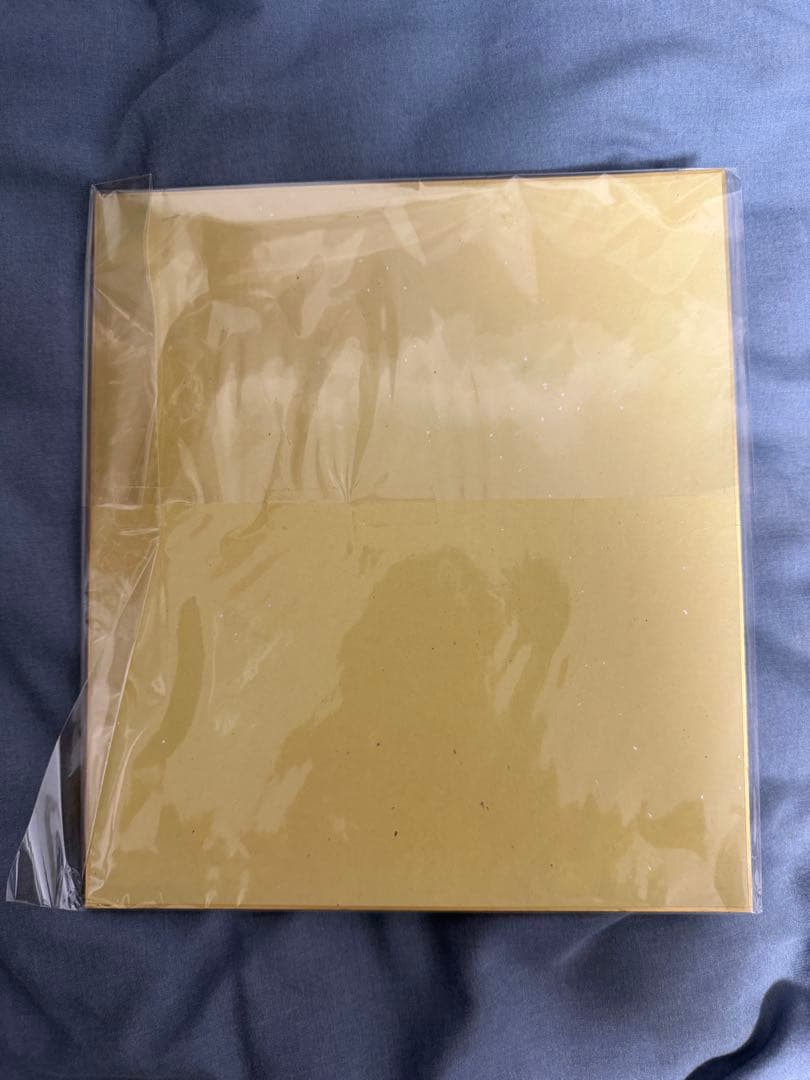 読売巨人軍 高橋由伸選手 現役時代 直筆サイン