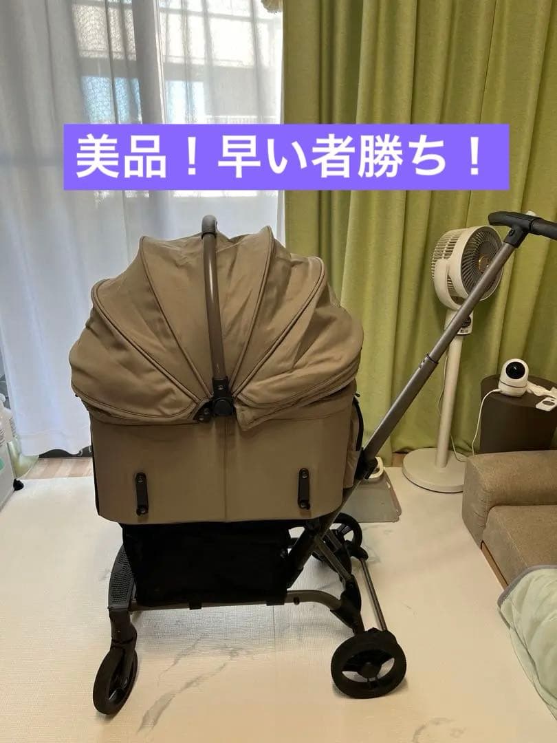 小型犬2匹入れる！AIRBUGGY PET FITT WIZ・レインカバー付