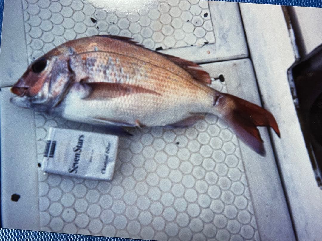 【美品】マリンウェア ヤマハ最上クラス