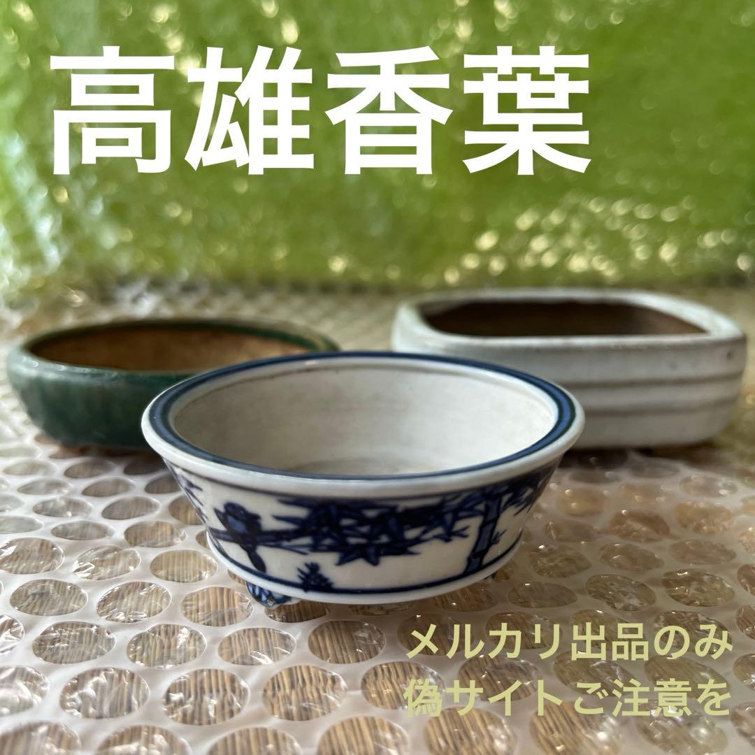高雄香葉　盆栽鉢　小品　3個セット　レトロ　(A6)