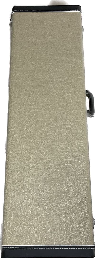 【Fender USA】フェンダー 2019 Limited Edition