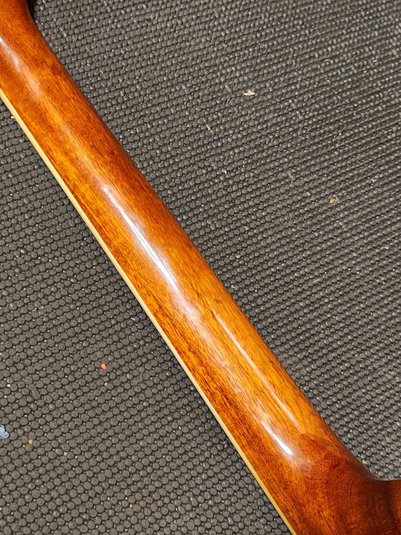 Morris S-20TS/エレアコ ソフトケース付