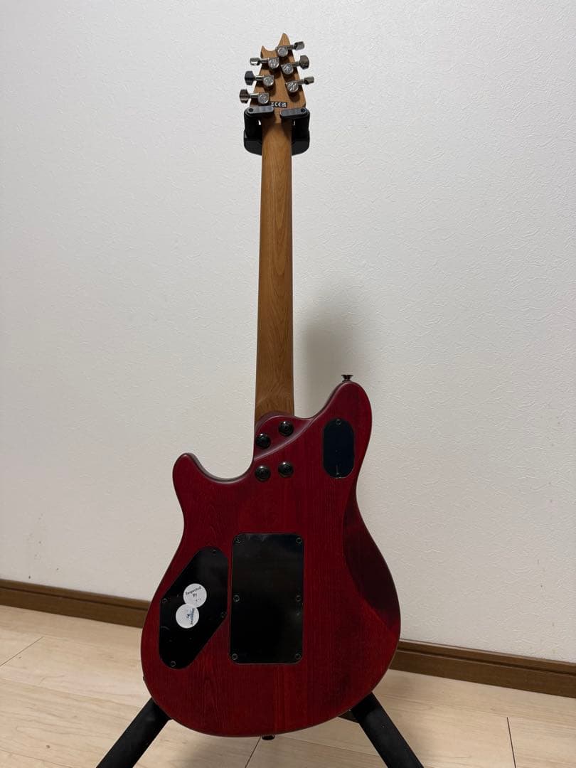 ギター EVH Wolfgang STD EXOTIC
