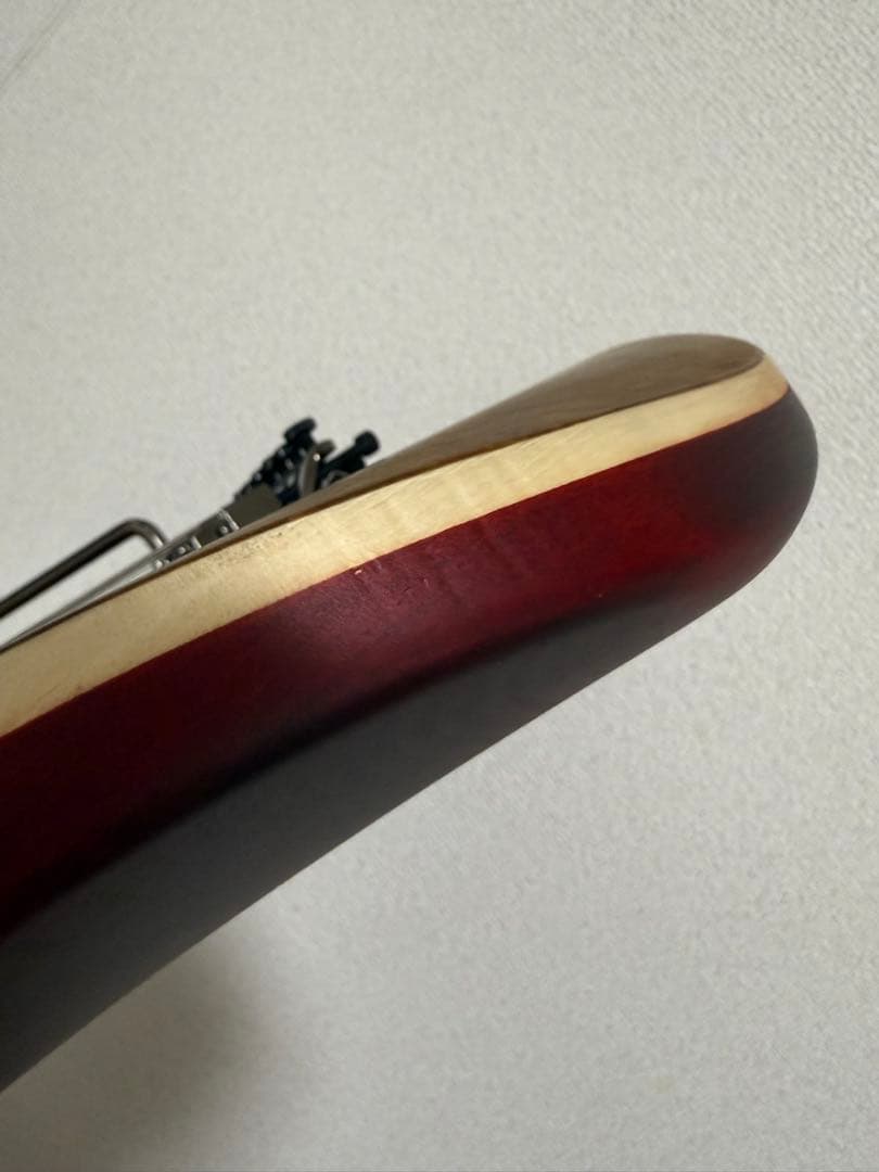 ギター EVH Wolfgang STD EXOTIC