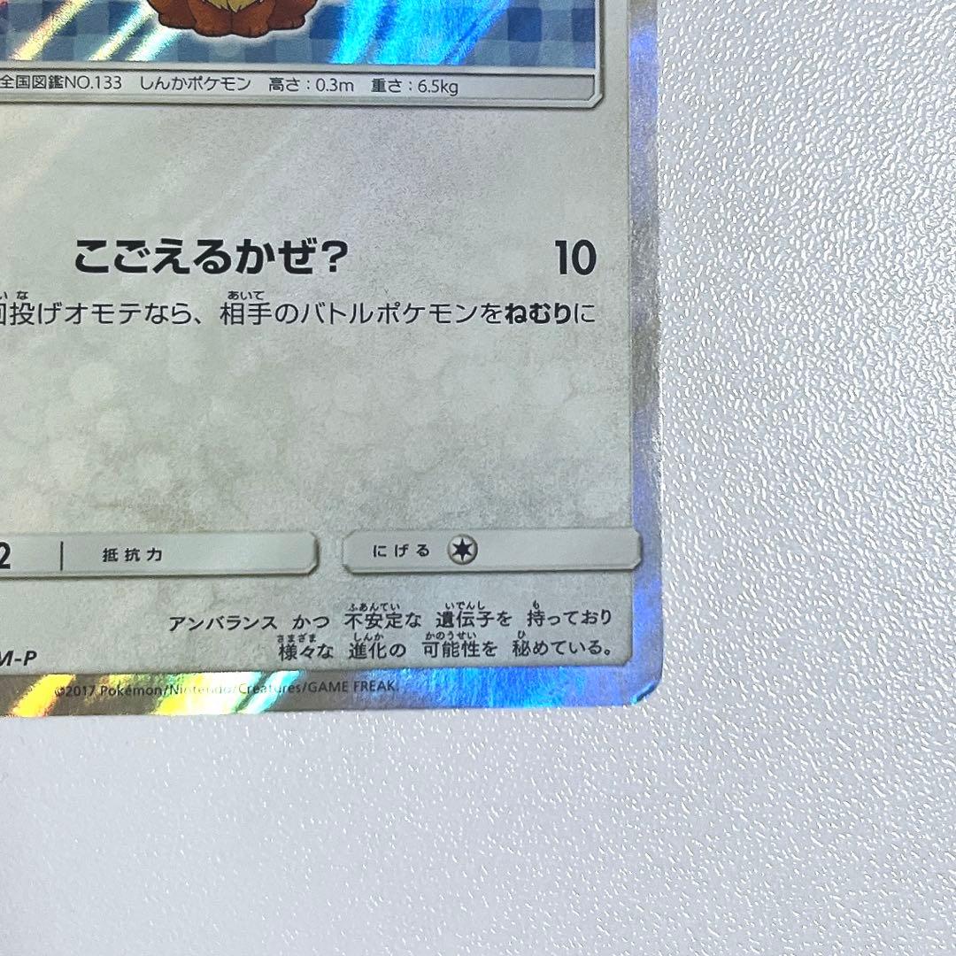 ポンチョを着たイーブイ（グレイシア） PROMO