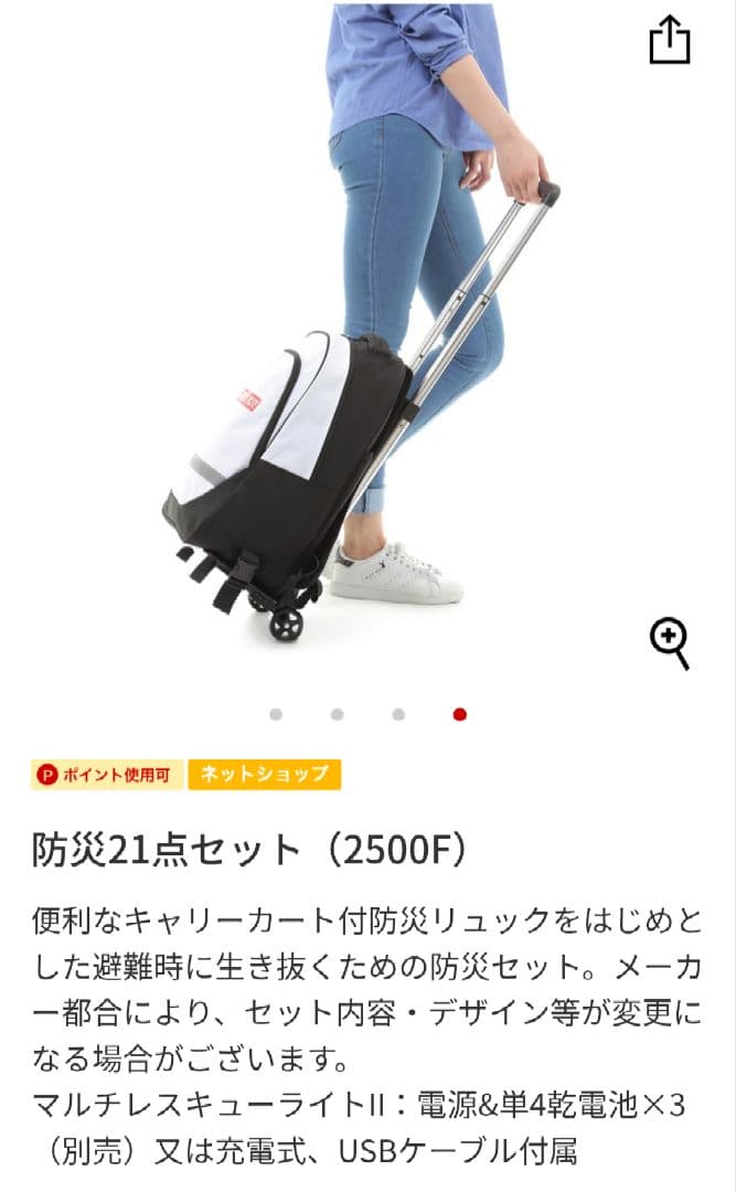 防災21点セット （2500F）