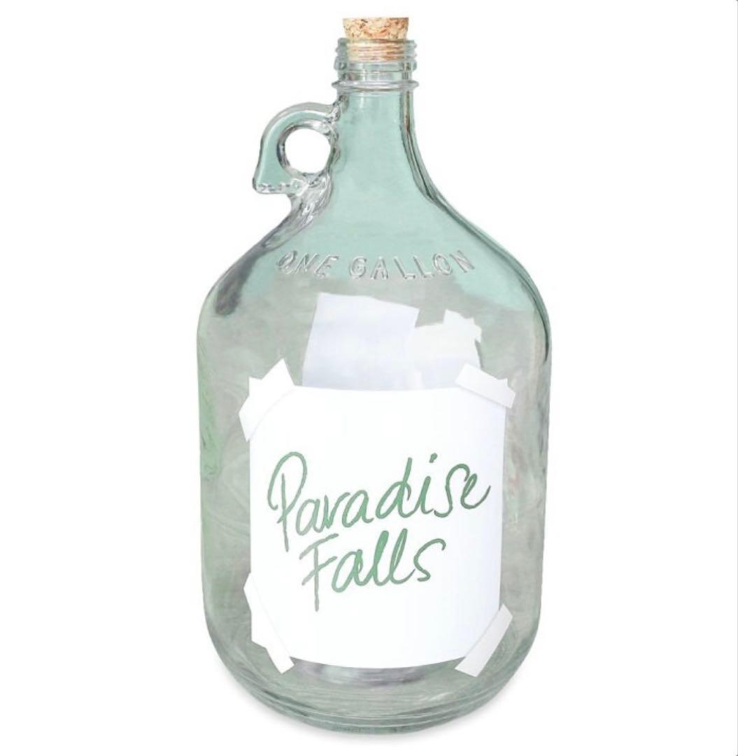 カールじいさん空飛ぶ家　貯金箱