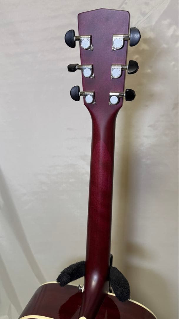 Cort アコースティックギター パープル