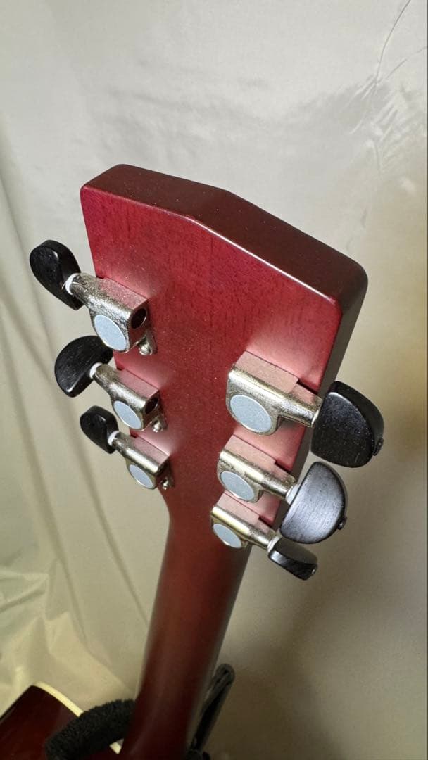 Cort アコースティックギター パープル