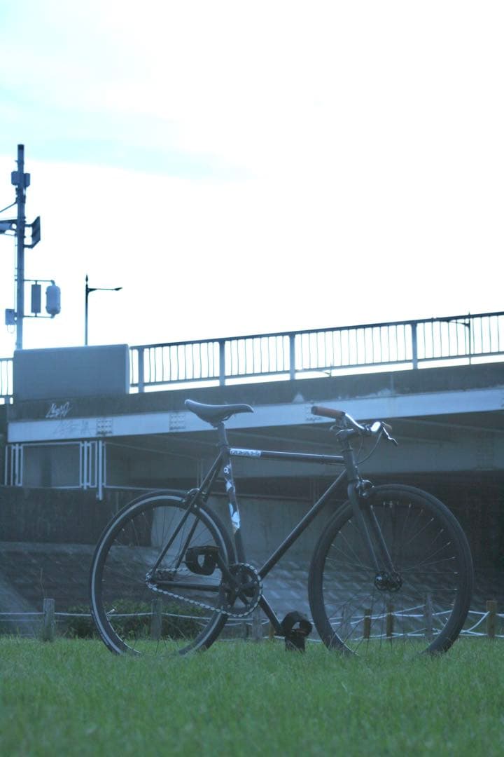 自転車本体 cartel bikes avenue low
