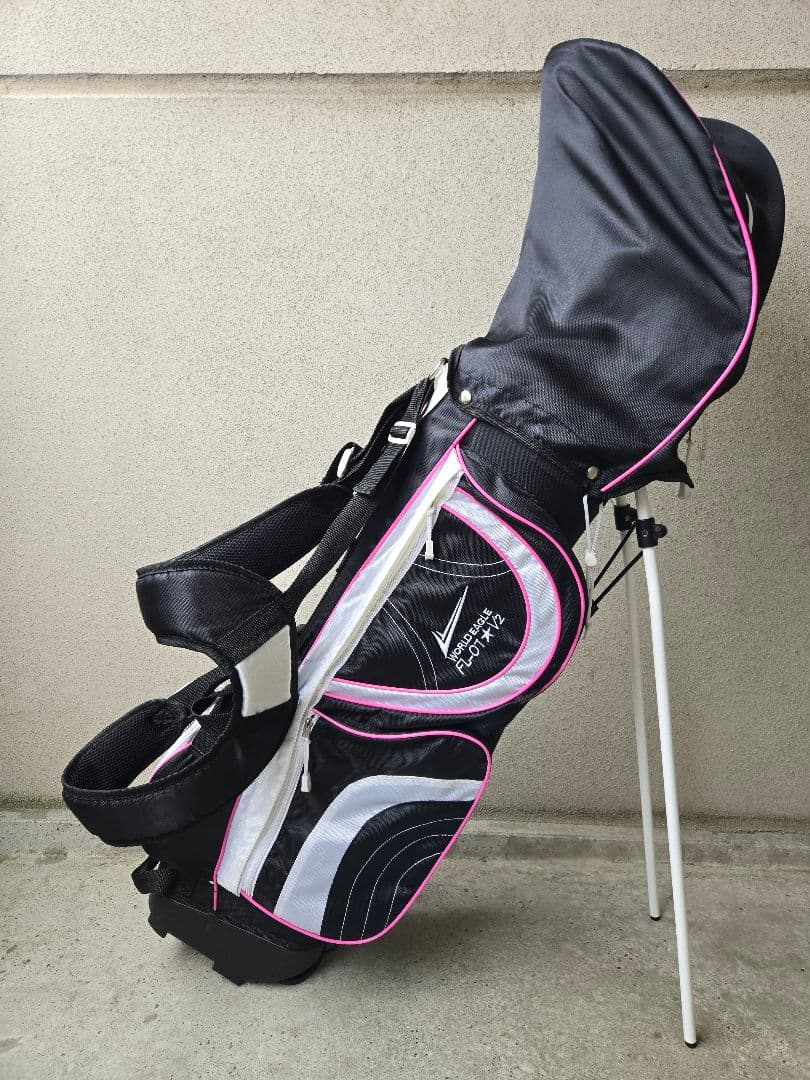 ワールドイーグル　FL-01 V2　レディースゴルフ10本セット　FLEX-L