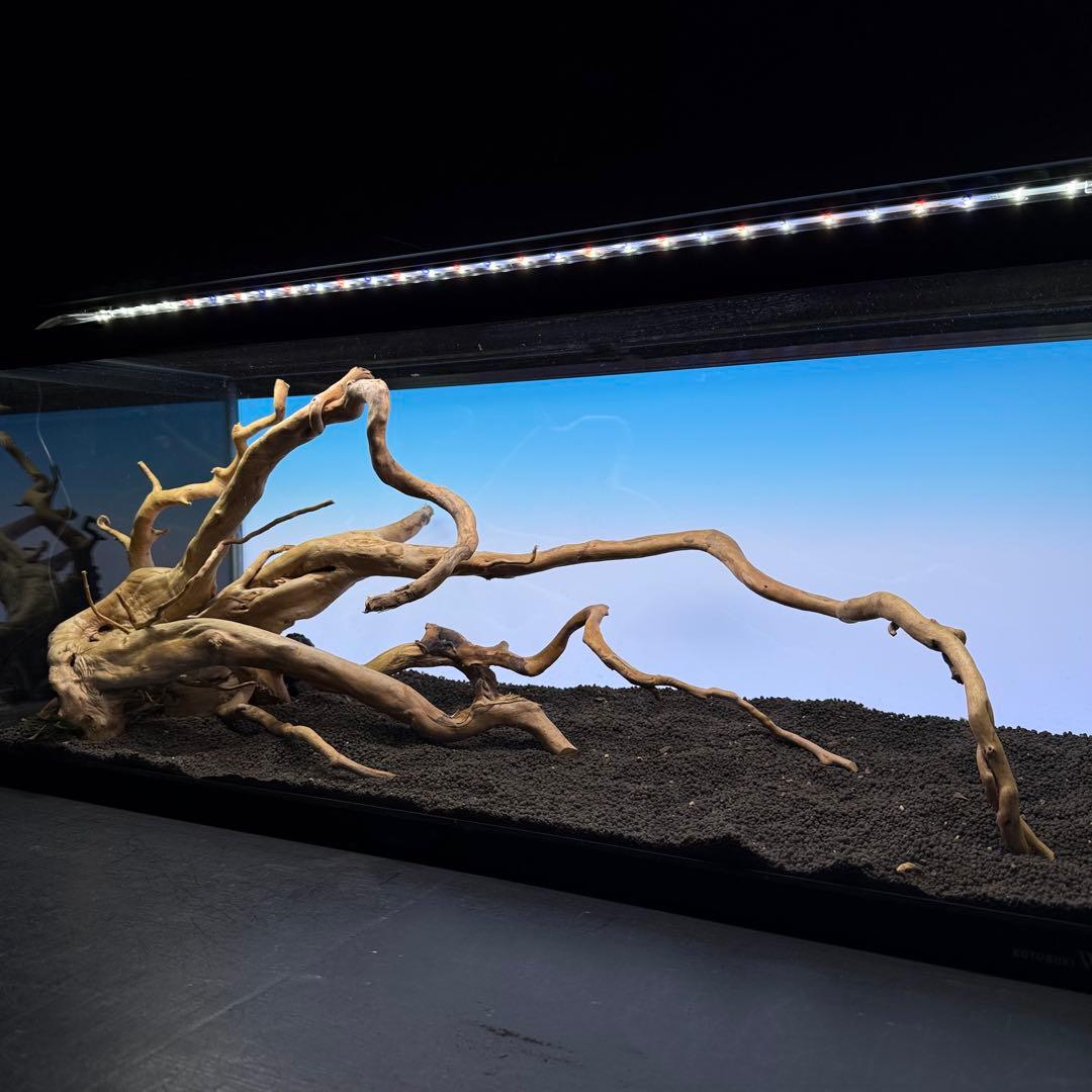 MDW-7235ブランチウッドレイアウトセット　90cm水槽用流木セット　枝流木