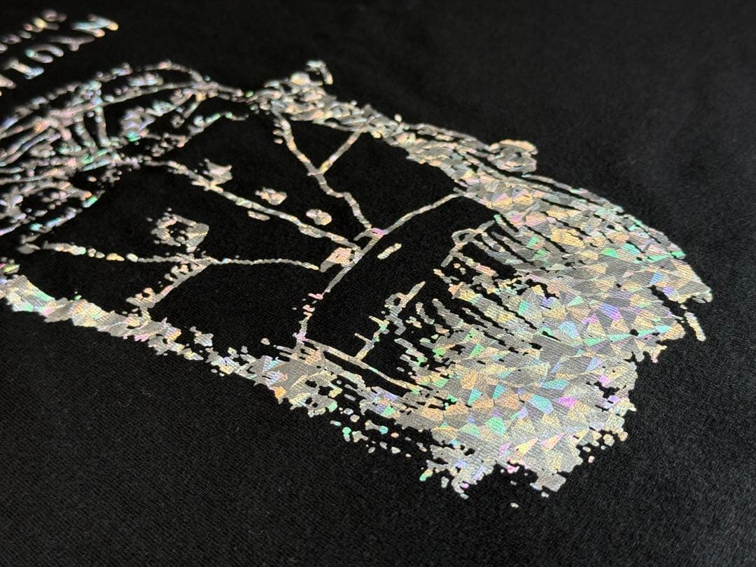 レア 神聖かまってちゃん 入院ツアー 1日限定販売 ホログラムTシャツ M