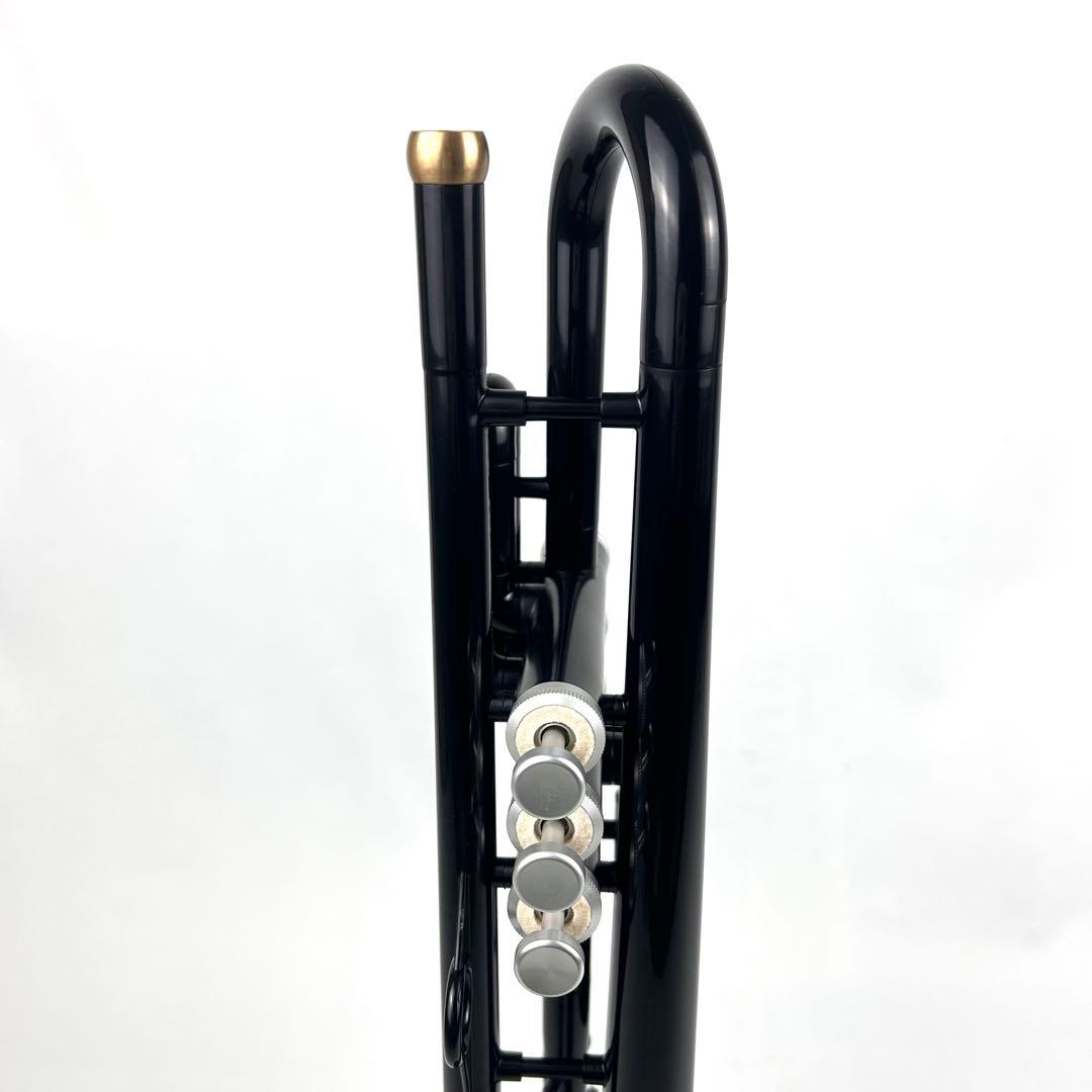 【極美品】hyTech pTrumpet ピートランペット ハイテック ブラック