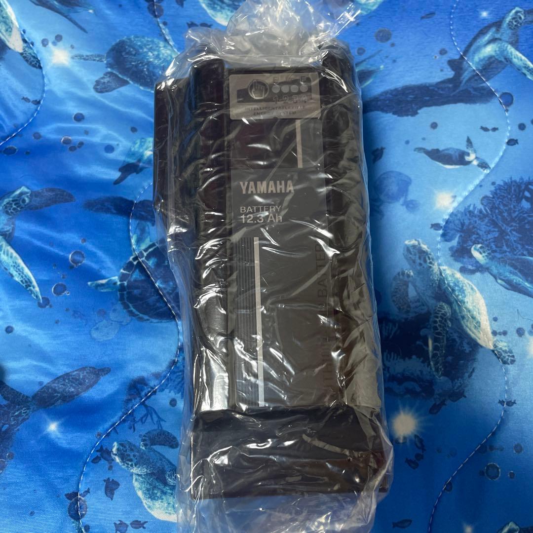 12.3YAMAHAバッテリー